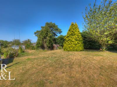 Picture 20